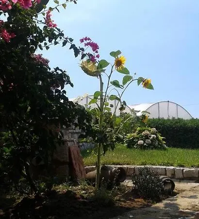Domus Gea Villa Sperlonga Exterior photo