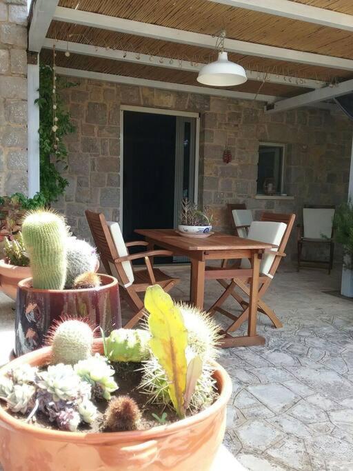 Holiday home Domus Gea