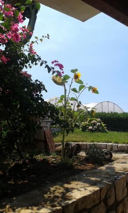 Domus Gea Holiday home Sperlonga